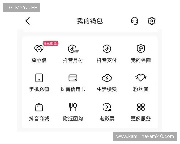 了解亚洲ag娱乐最大平台的支付方式与提现流程确保资金安全便捷